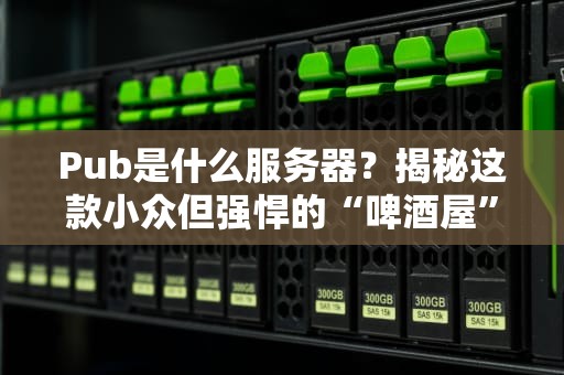 Pub是什么服务器？揭秘这款小众但强悍的“啤酒屋”级服务器！