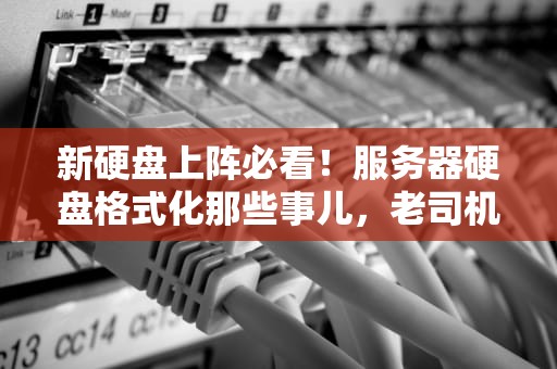 新硬盘上阵必看！服务器硬盘格式化那些事儿，老司机带你避坑~