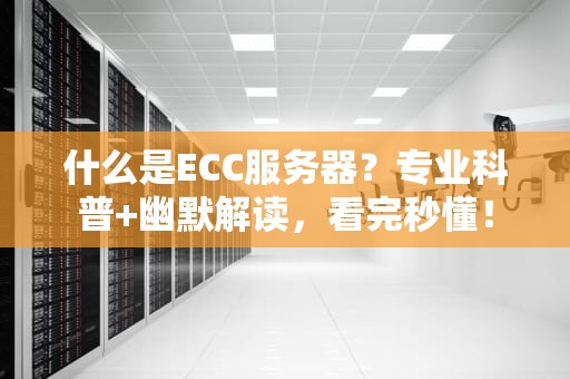 什么是ECC服务器？专业科普+幽默解读，看完秒懂！