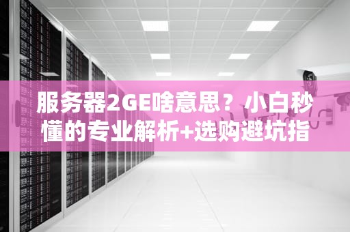 服务器2GE啥意思？小白秒懂的专业解析+选购避坑指南！
