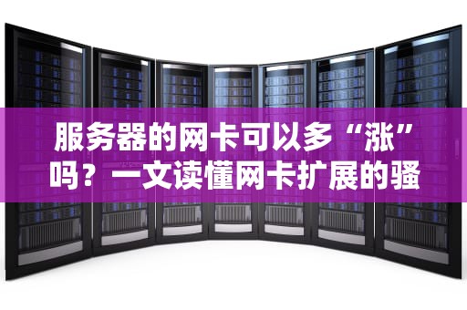 服务器的网卡可以多“涨”吗？一文读懂网卡扩展的骚操作与硬核知识