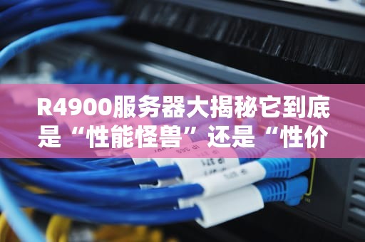 R4900服务器大揭秘它到底是“性能怪兽”还是“性价比之王”？