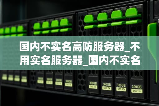 国内不实名高防服务器_不用实名服务器_国内不实名高防服务器的探讨