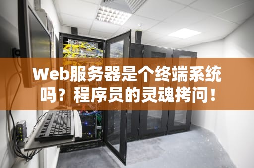 Web服务器是个终端系统吗？程序员的灵魂拷问！
