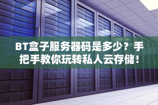 BT盒子服务器码是多少？手把手教你玩转私人云存储！