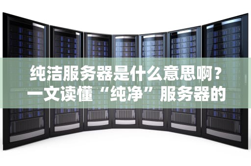 纯洁服务器是什么意思啊？一文读懂“纯净”服务器的秘密！