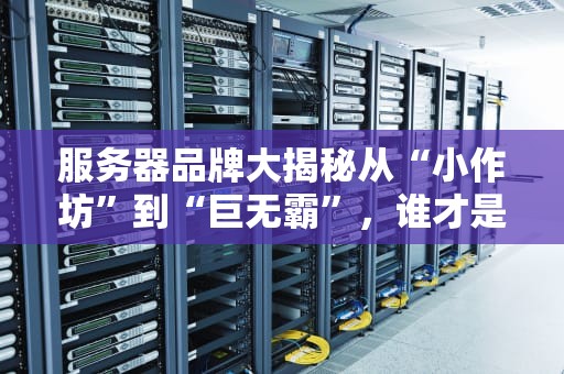 服务器品牌大揭秘从“小作坊”到“巨无霸”，谁才是你的真命天子？