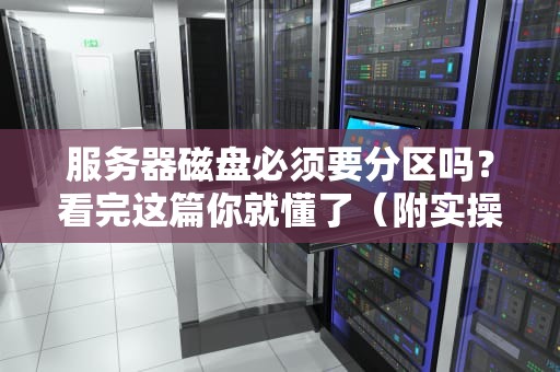 服务器磁盘必须要分区吗？看完这篇你就懂了（附实操建议）