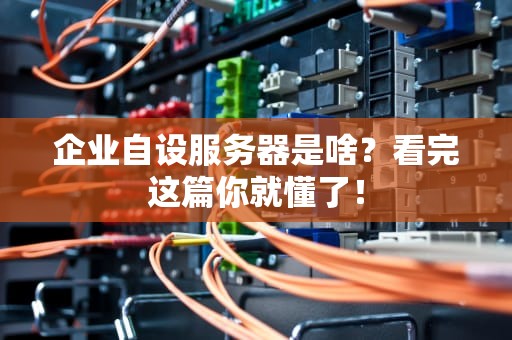 企业自设服务器是啥？看完这篇你就懂了！