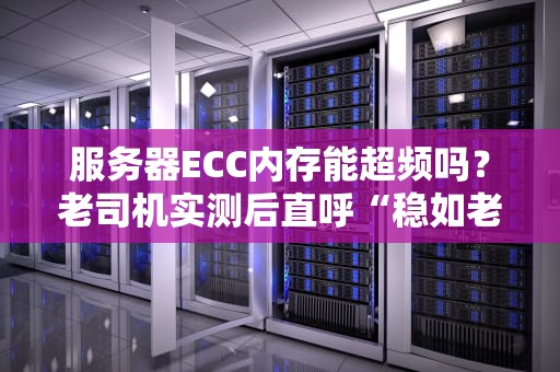 服务器ECC内存能超频吗？老司机实测后直呼“稳如老狗”！