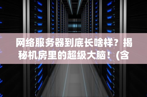 网络服务器到底长啥样？揭秘机房里的超级大脑！(含实物图解)