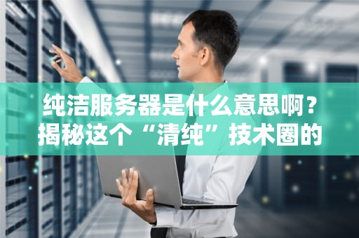 纯洁服务器是什么意思啊？揭秘这个“清纯”技术圈的另类黑话！
