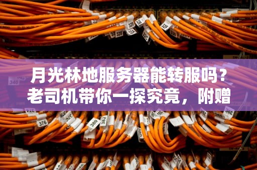 月光林地服务器能转服吗？老司机带你一探究竟，附赠避坑指南！