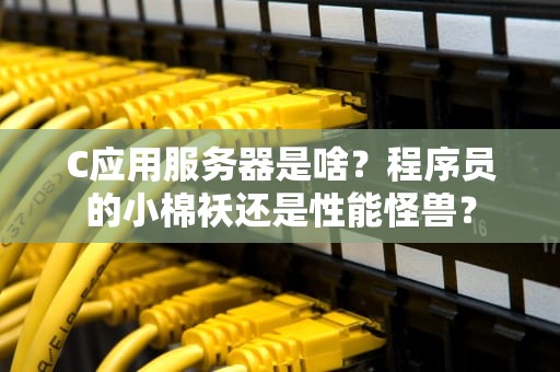 C应用服务器是啥？程序员的小棉袄还是性能怪兽？