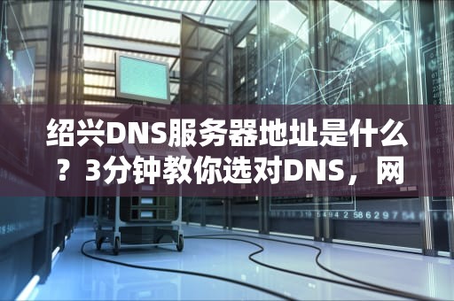 绍兴DNS服务器地址是什么？3分钟教你选对DNS，网速飞起！