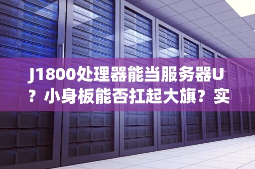 J1800处理器能当服务器U？小身板能否扛起大旗？实测结果笑中带泪！