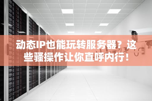 动态IP也能玩转服务器？这些骚操作让你直呼内行！