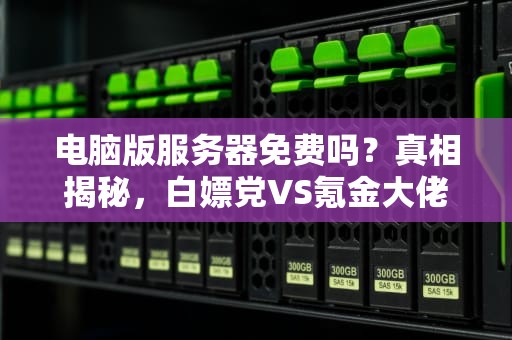 电脑版服务器免费吗？真相揭秘，白嫖党VS氪金大佬的终极对决！