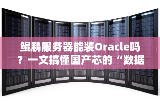 鲲鹏服务器能装Oracle吗？一文搞懂国产芯的“数据库兼容性玄学”