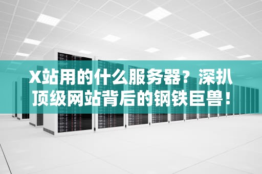 X站用的什么服务器？深扒顶级网站背后的钢铁巨兽！