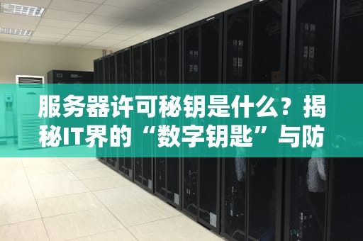 服务器许可秘钥是什么？揭秘IT界的“数字钥匙”与防坑指南