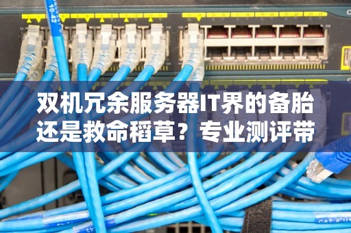 双机冗余服务器IT界的备胎还是救命稻草？专业测评带你揭秘