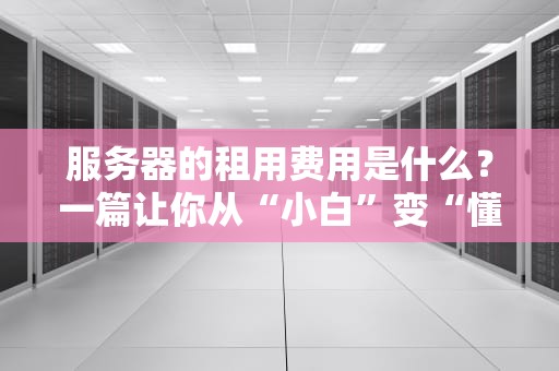 服务器的租用费用是什么？一篇让你从“小白”变“懂王”的科普指南！