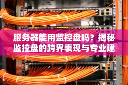 服务器能用监控盘吗？揭秘监控盘的跨界表现与专业建议！