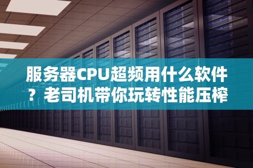 服务器CPU超频用什么软件？老司机带你玩转性能压榨，稳如老狗！