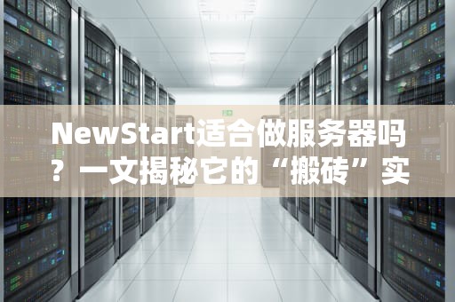 NewStart适合做服务器吗？一文揭秘它的“搬砖”实力！
