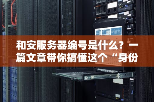 和安服务器编号是什么？一篇文章带你搞懂这个“身份证”的秘密！