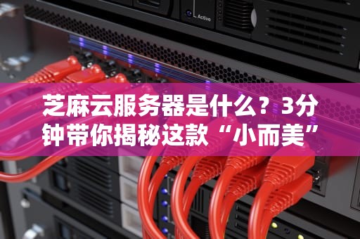 芝麻云服务器是什么？3分钟带你揭秘这款“小而美”的云服务黑马！