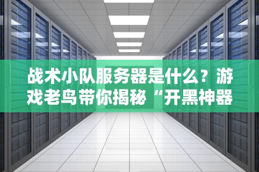 战术小队服务器是什么？游戏老鸟带你揭秘“开黑神器”里的硬核科技！