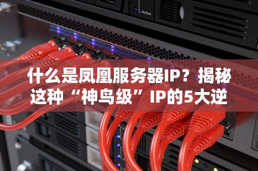 什么是凤凰服务器IP？揭秘这种“神鸟级”IP的5大逆天特性！