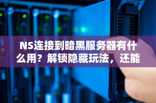 NS连接到暗黑服务器有什么用？解锁隐藏玩法，还能白嫖加速！