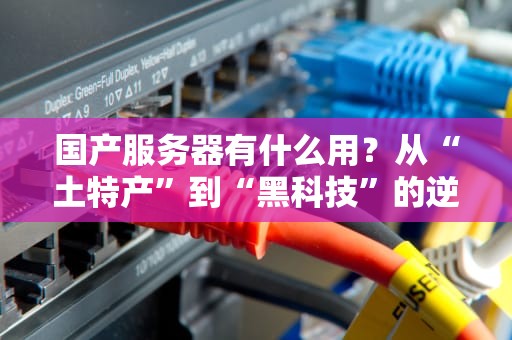 国产服务器有什么用？从“土特产”到“黑科技”的逆袭之路