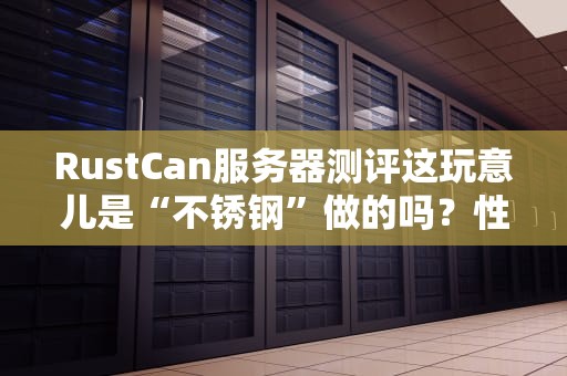 RustCan服务器测评这玩意儿是“不锈钢”做的吗？性能居然这么硬核？