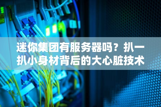 迷你集团有服务器吗？扒一扒小身材背后的大心脏技术内幕！