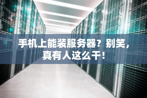 手机上能装服务器？别笑，真有人这么干！