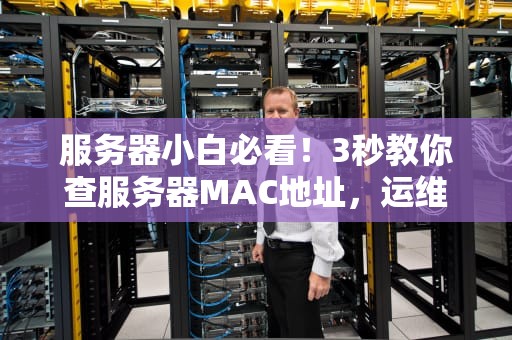 服务器小白必看！3秒教你查服务器MAC地址，运维大佬都直呼内行！