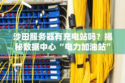 沙田服务器有充电站吗？揭秘数据中心“电力加油站”的那些事儿
