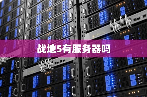 战地5有服务器吗