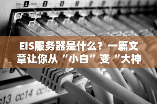 EIS服务器是什么？一篇文章让你从“小白”变“大神”！
