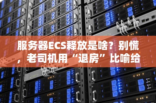服务器ECS释放是啥？别慌，老司机用“退房”比喻给你整明白！