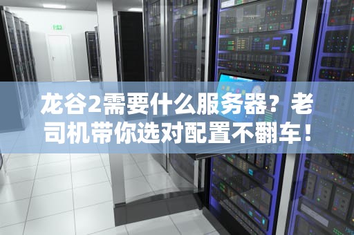 龙谷2需要什么服务器？老司机带你选对配置不翻车！