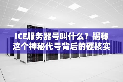 ICE服务器号叫什么？揭秘这个神秘代号背后的硬核实力！