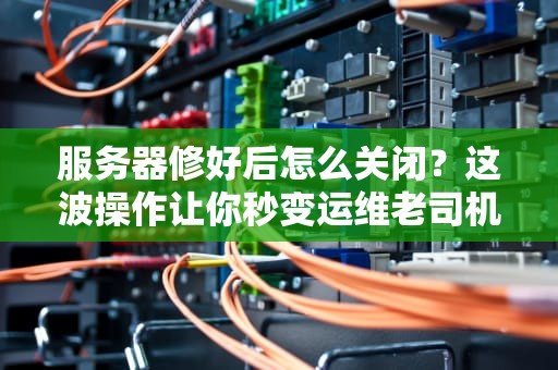 服务器修好后怎么关闭？这波操作让你秒变运维老司机！