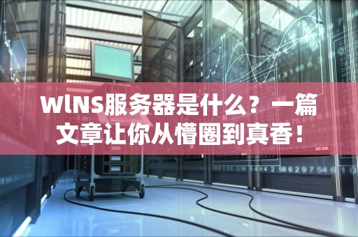 WlNS服务器是什么？一篇文章让你从懵圈到真香！