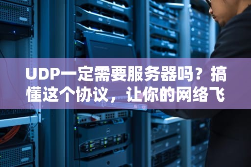 UDP一定需要服务器吗？搞懂这个协议，让你的网络飞起来！
