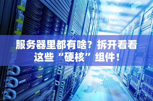 服务器里都有啥？拆开看看这些“硬核”组件！